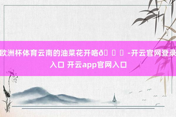 欧洲杯体育云南的油菜花开咯🌞-开云官网登录入口 开云app官网入口