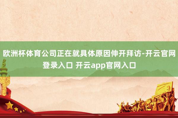 欧洲杯体育公司正在就具体原因伸开拜访-开云官网登录入口 开云app官网入口