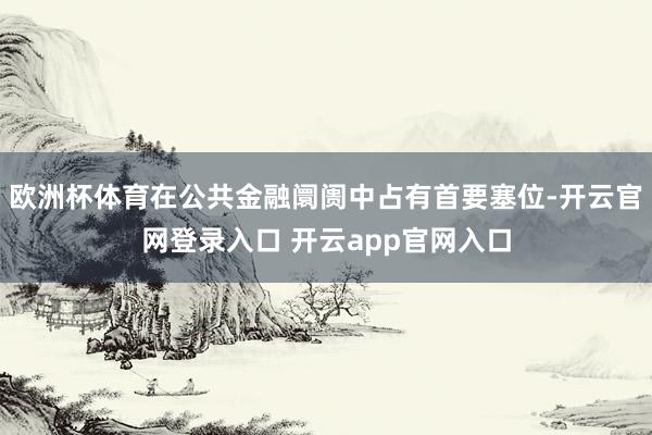 欧洲杯体育在公共金融阛阓中占有首要塞位-开云官网登录入口 开云app官网入口
