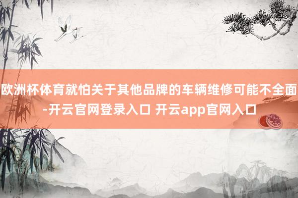 欧洲杯体育就怕关于其他品牌的车辆维修可能不全面-开云官网登录入口 开云app官网入口