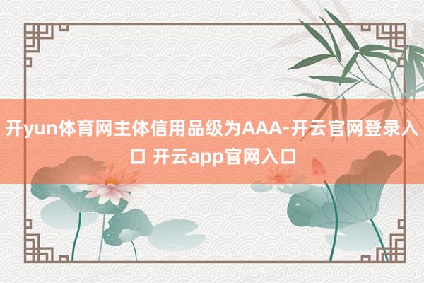 开yun体育网主体信用品级为AAA-开云官网登录入口 开云app官网入口