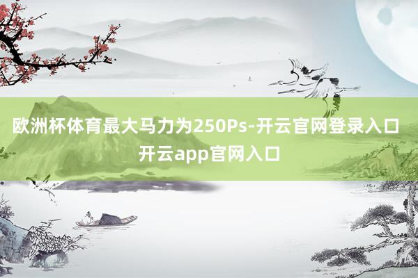 欧洲杯体育最大马力为250Ps-开云官网登录入口 开云app官网入口