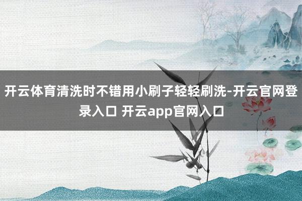 开云体育清洗时不错用小刷子轻轻刷洗-开云官网登录入口 开云app官网入口